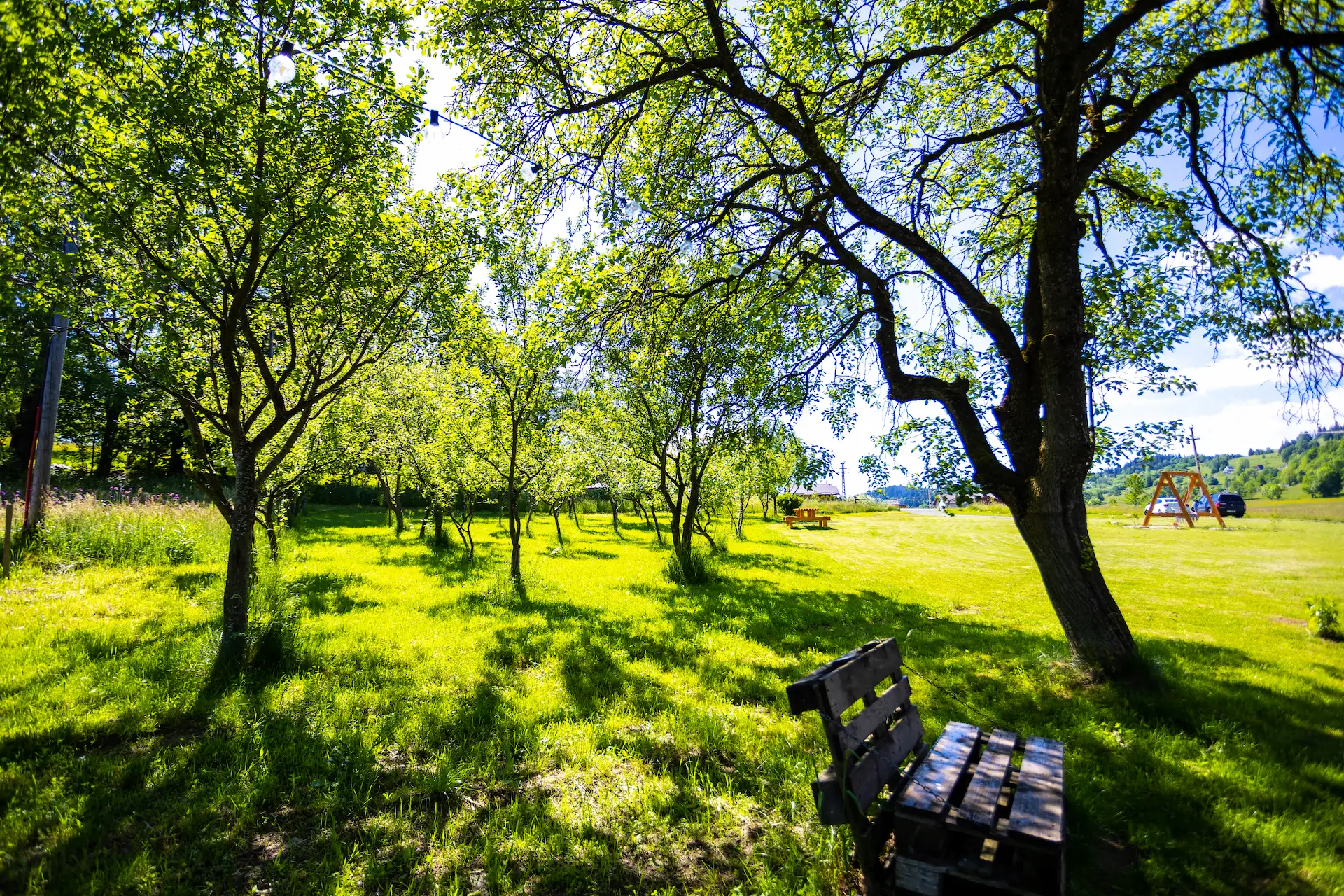 Tent Sites